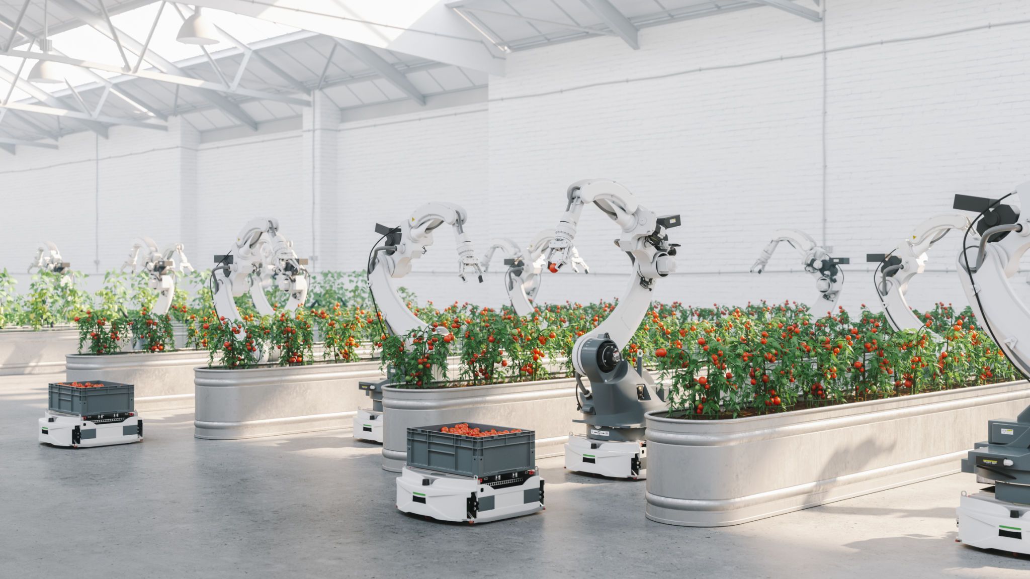 smart technology food